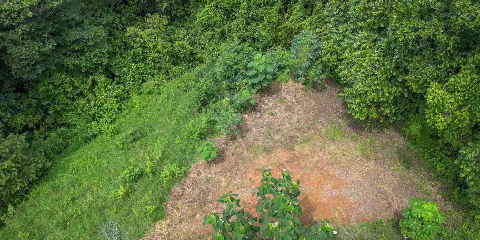 Beautiful Hidden Away 2-Bedroom Home on 2.5 Acres of Land Bordered by a River in Ojochal Costa Rica