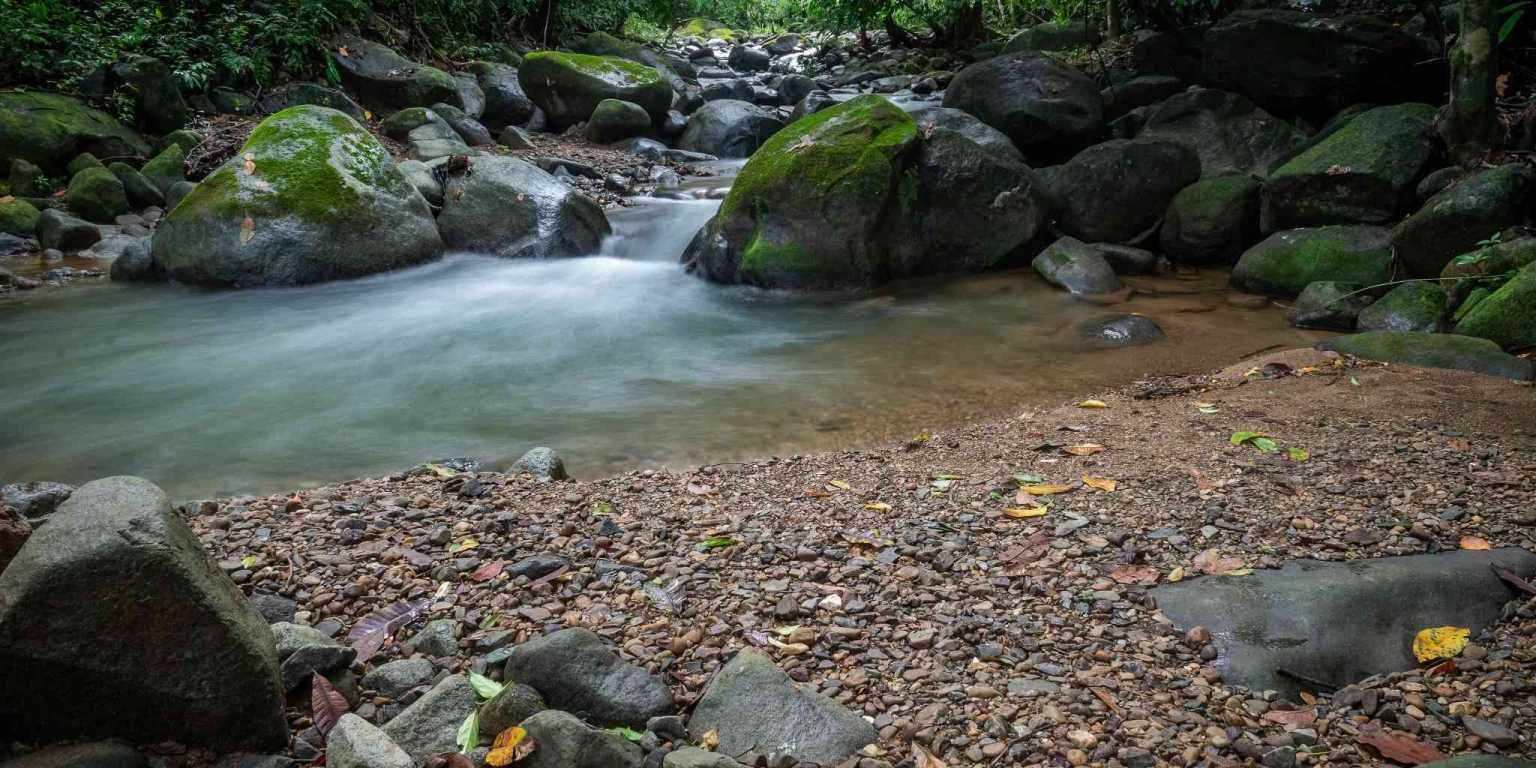 Beautiful Hidden Away 2-Bedroom Home on 2.5 Acres of Land Bordered by a River in Ojochal Costa Rica