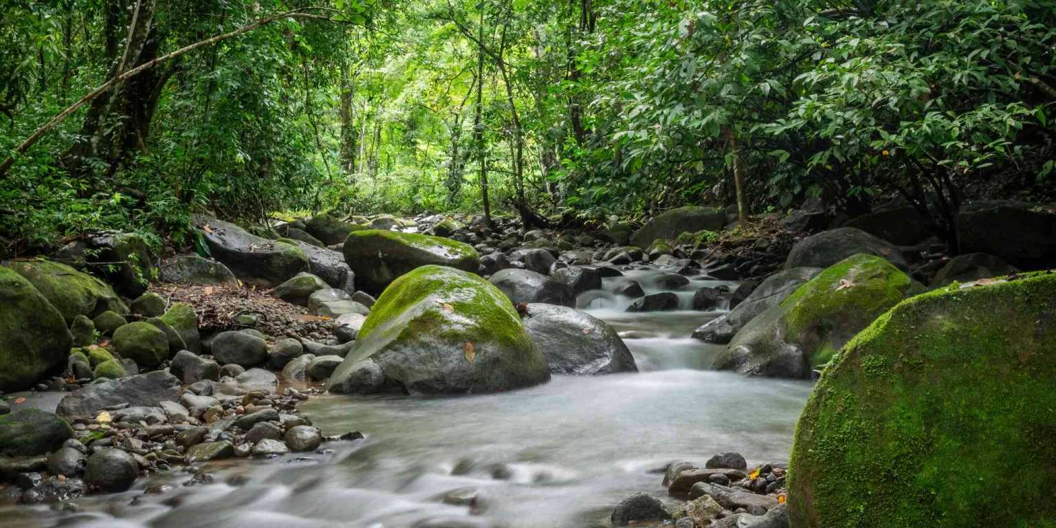Beautiful Hidden Away 2-Bedroom Home on 2.5 Acres of Land Bordered by a River in Ojochal Costa Rica