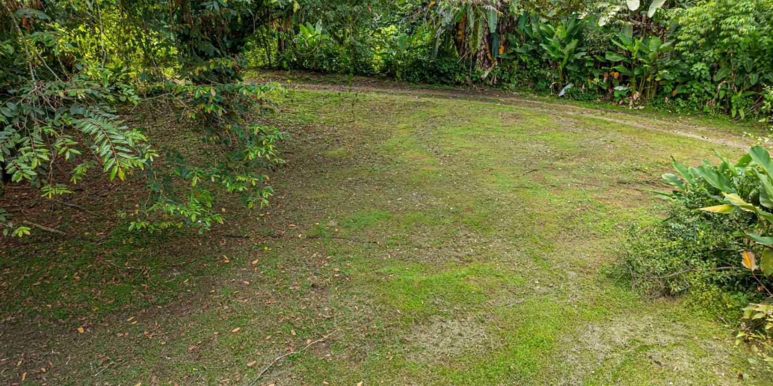 ConeCat-8 Tropical 3-Bedroom Home Hideaway with 7 Acres of Secluded Riverfront on Cinco Ventanas Road in Ojochal Costa Rica