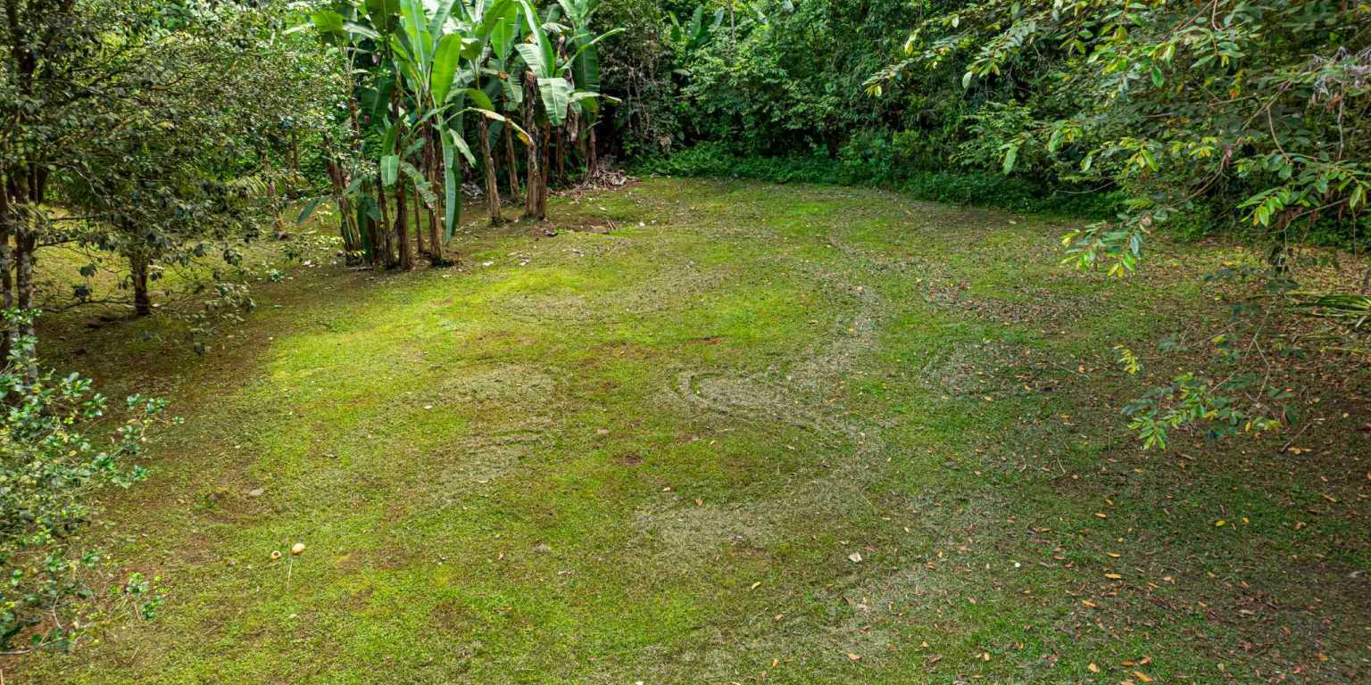 ConeCat-7 Tropical 3-Bedroom Home Hideaway with 7 Acres of Secluded Riverfront on Cinco Ventanas Road in Ojochal Costa Rica