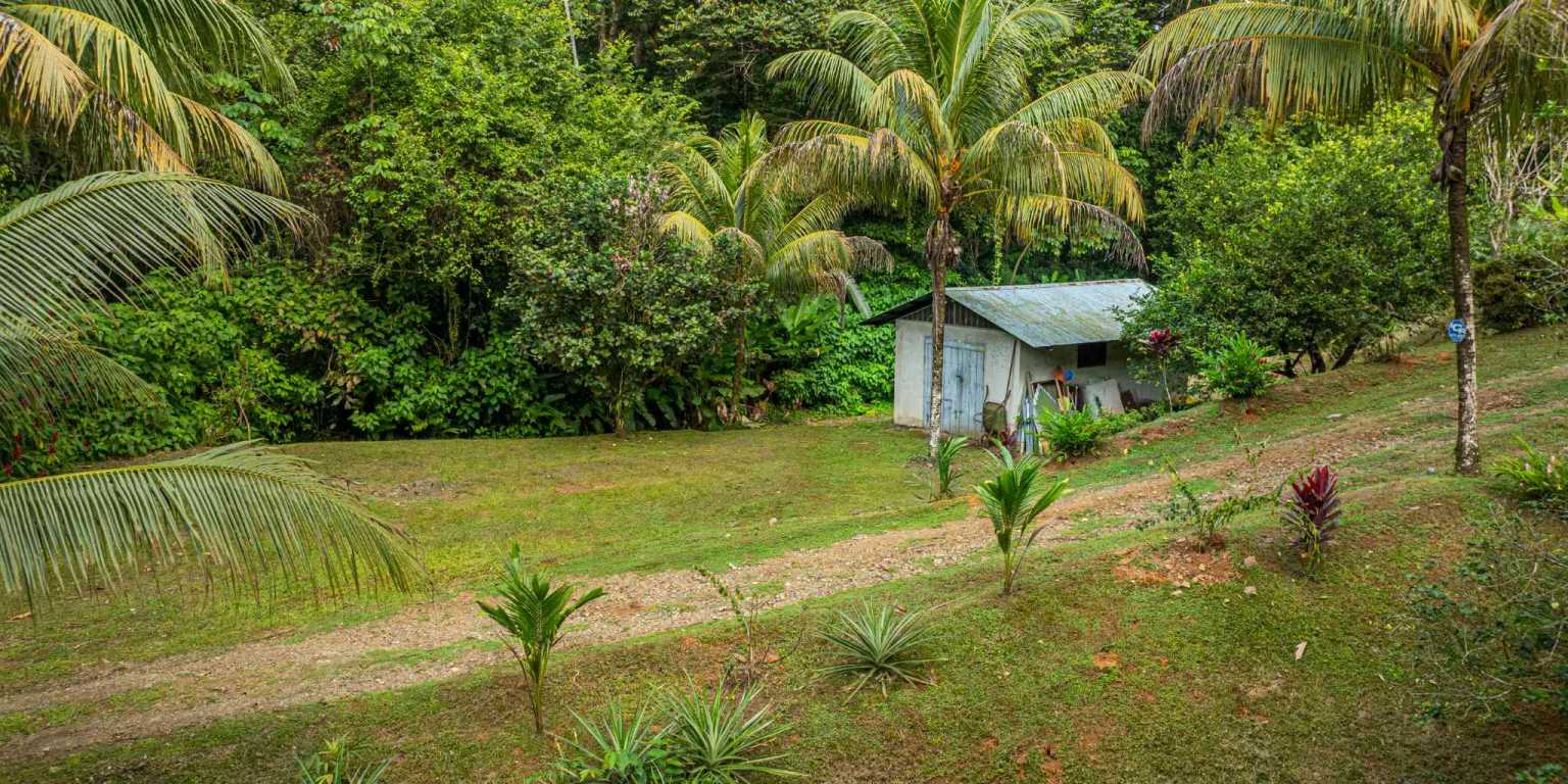 ConeCat-9 Tropical 3-Bedroom Home Hideaway with 7 Acres of Secluded Riverfront on Cinco Ventanas Road in Ojochal Costa Rica