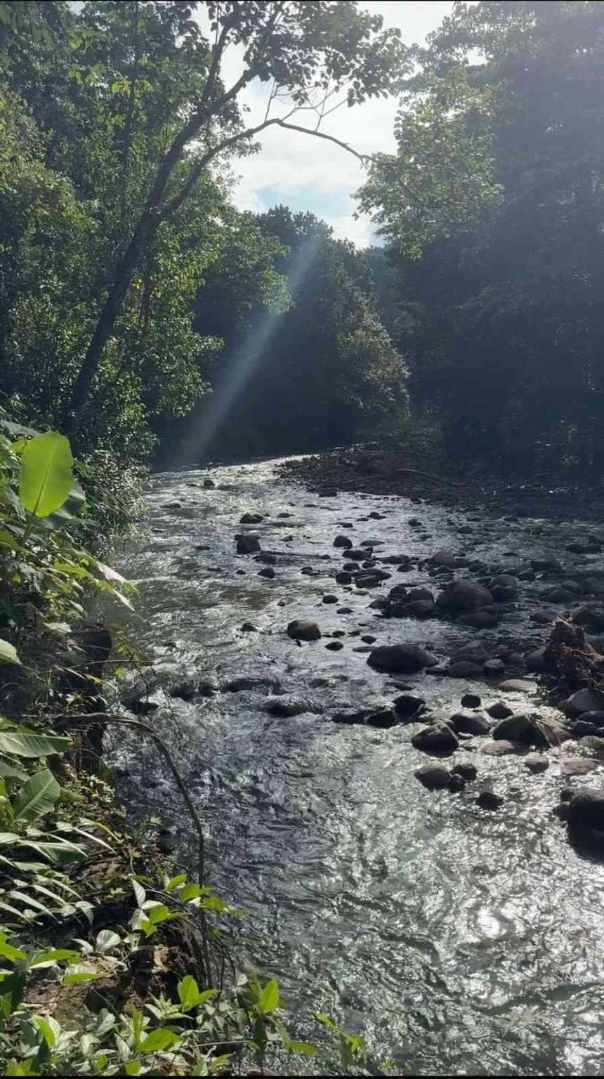 Image 2024-09-18 at 11.06.42 AM Tropical 3-Bedroom Home Hideaway with 7 Acres of Secluded Riverfront on Cinco Ventanas Road in Ojochal Costa Rica