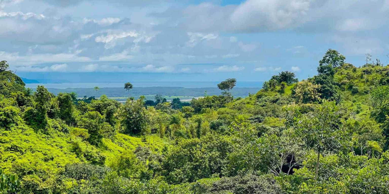 8153 House For Sale in Chontales 04 Ocean View 3-Bedroom Home with Pool for sale in Chontales near Ojochal Costa Rica