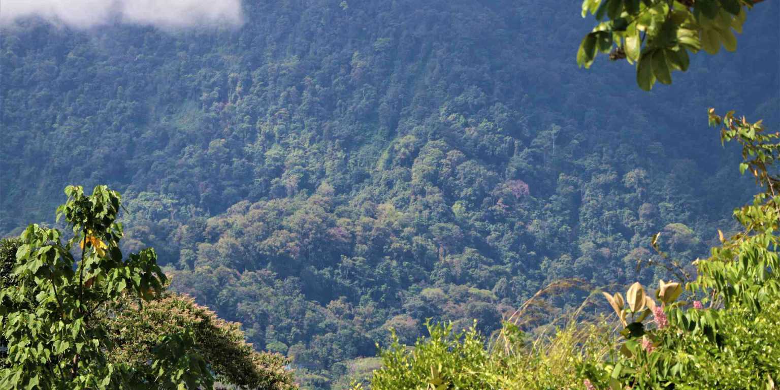 Large Mountain View Lot with Room to Build & Easy Access in Phase 11 Ojochal Costa Rica