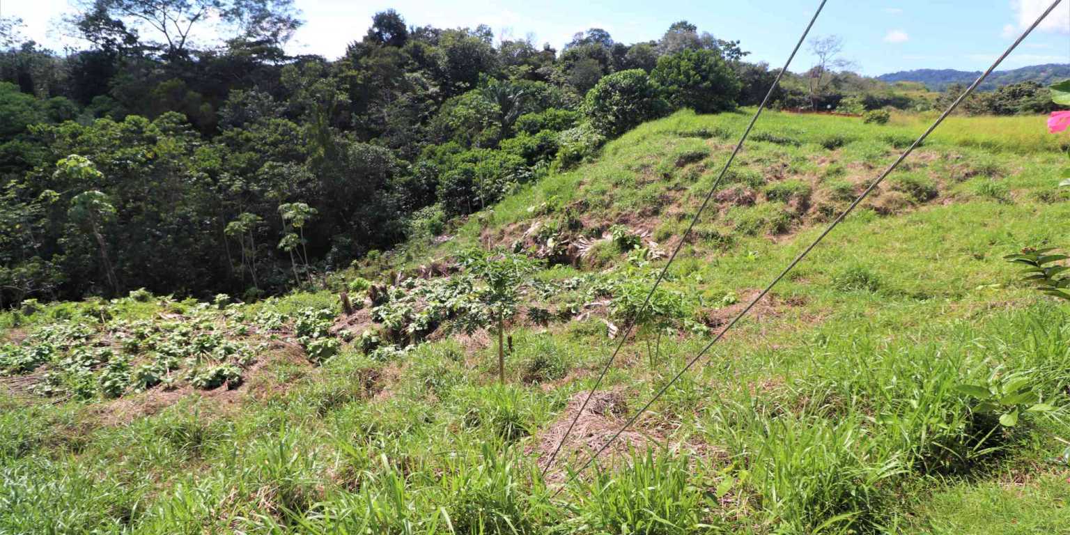 Large Mountain View Lot with Room to Build & Easy Access in Phase 11 Ojochal Costa Rica