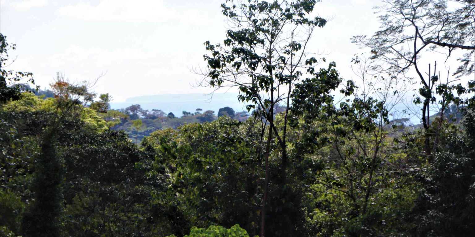 Large Mountain View Lot with Room to Build & Easy Access in Phase 11 Ojochal Costa Rica