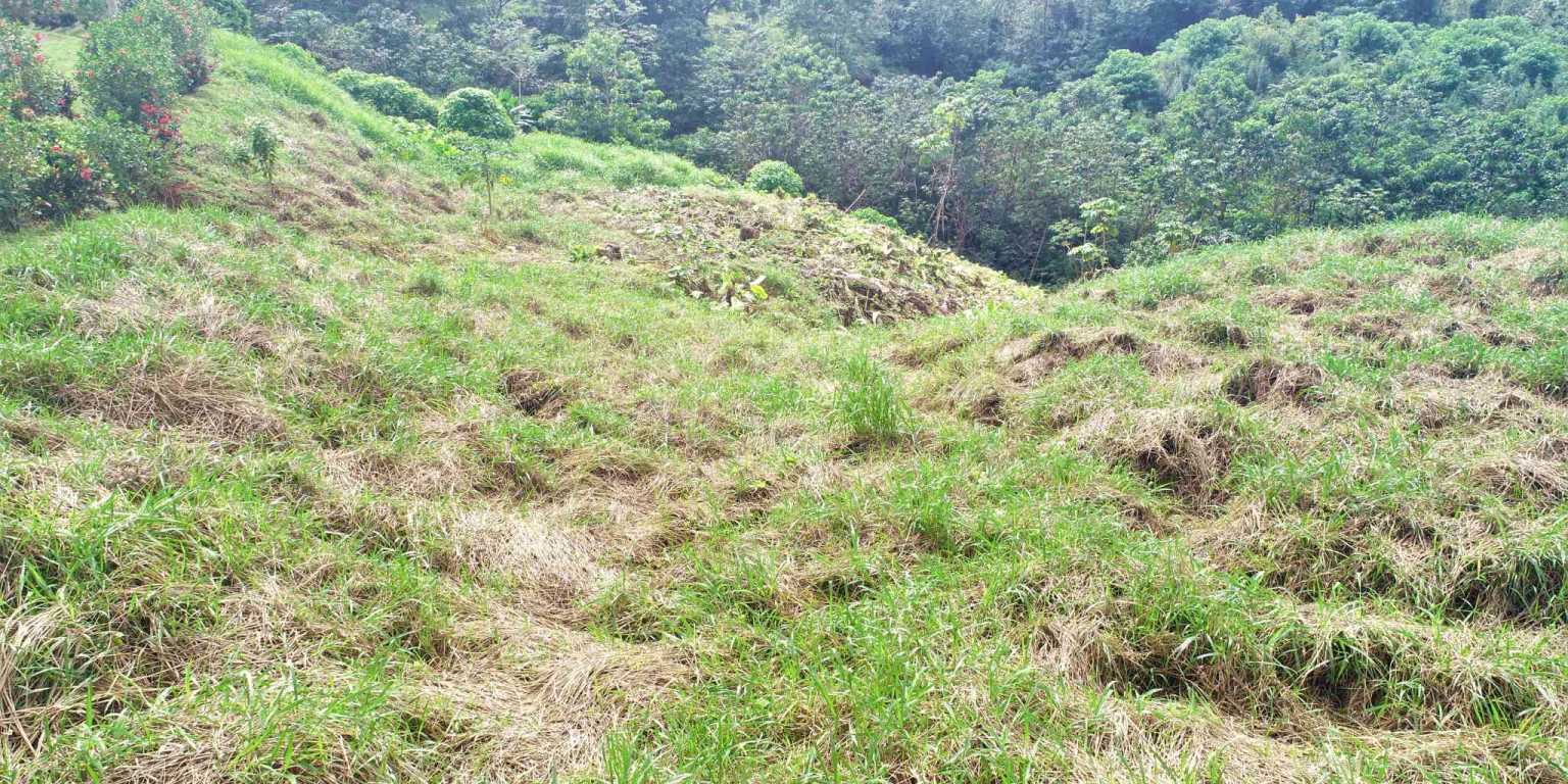 Large Mountain View Lot with Room to Build & Easy Access in Phase 11 Ojochal Costa Rica