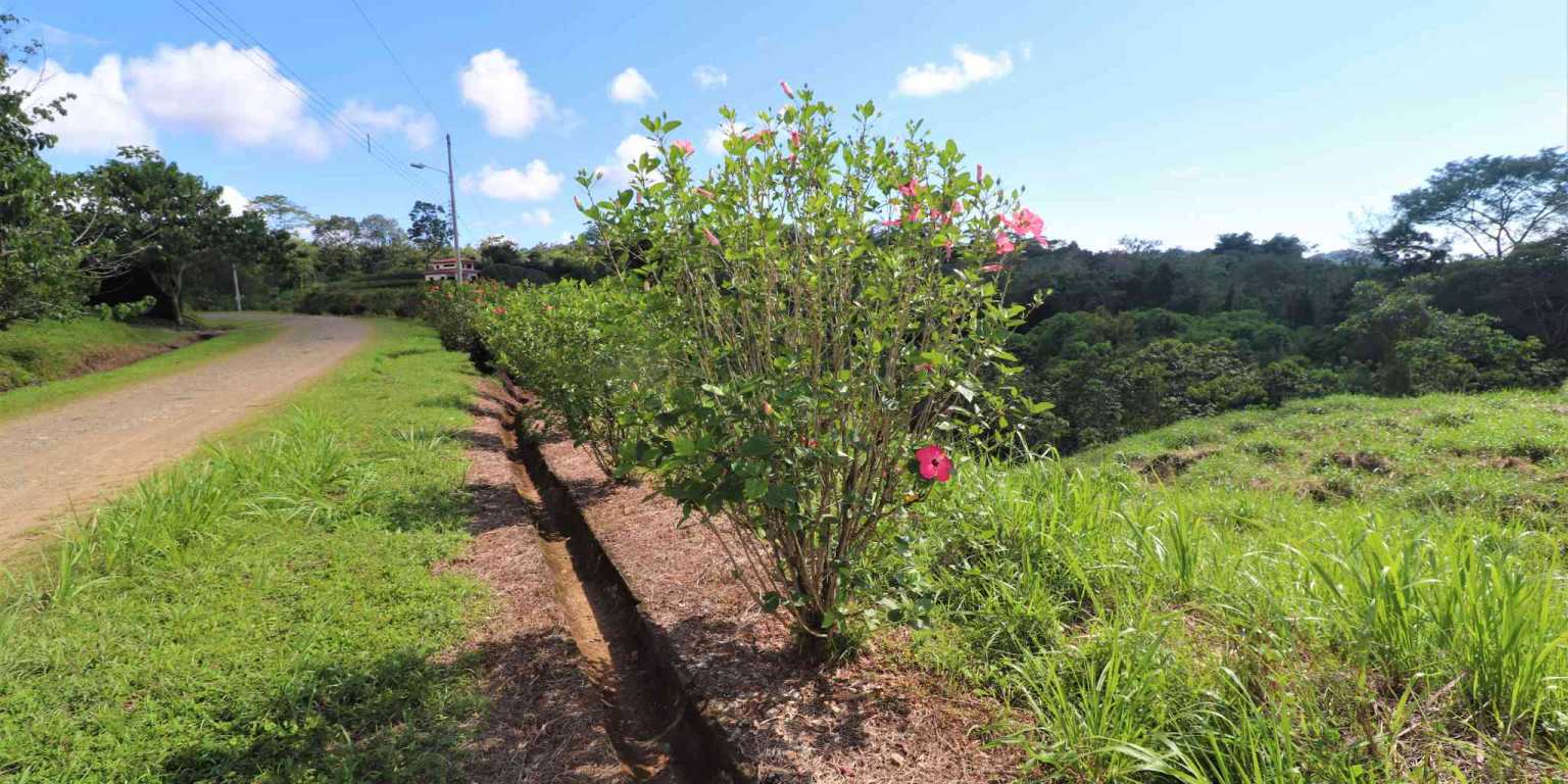 Large Mountain View Lot with Room to Build & Easy Access in Phase 11 Ojochal Costa Rica