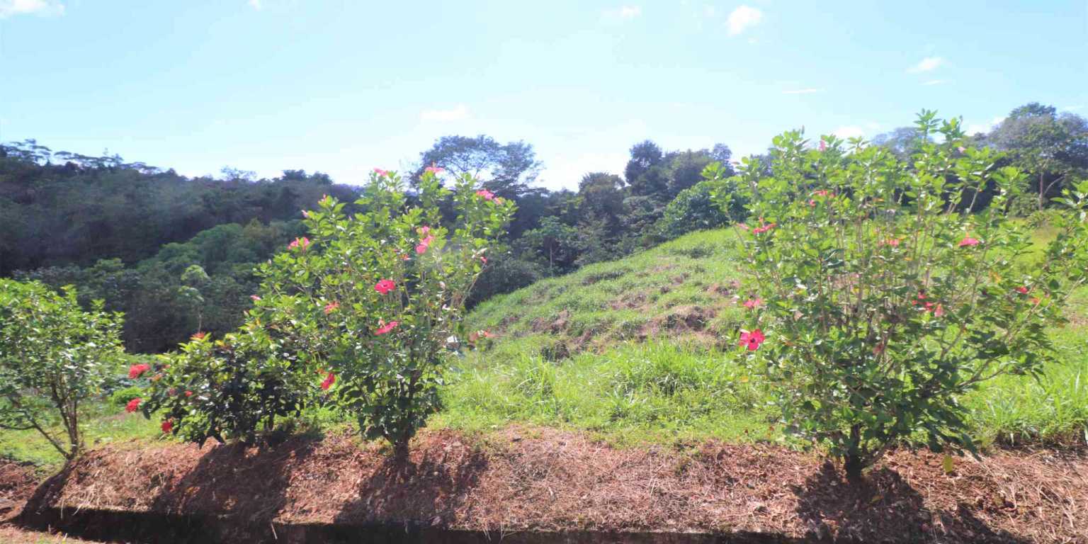 Large Mountain View Lot with Room to Build & Easy Access in Phase 11 Ojochal Costa Rica