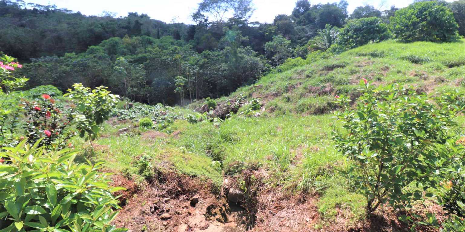 Large Mountain View Lot with Room to Build & Easy Access in Phase 11 Ojochal Costa Rica