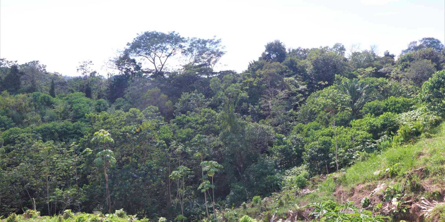 Large Mountain View Lot with Room to Build & Easy Access in Phase 11 Ojochal Costa Rica