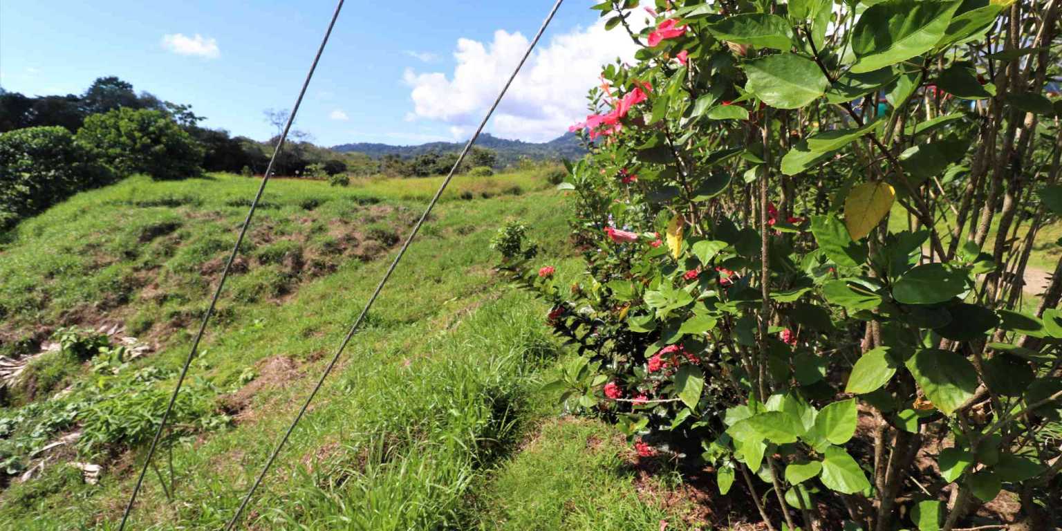 Large Mountain View Lot with Room to Build & Easy Access in Phase 11 Ojochal Costa Rica