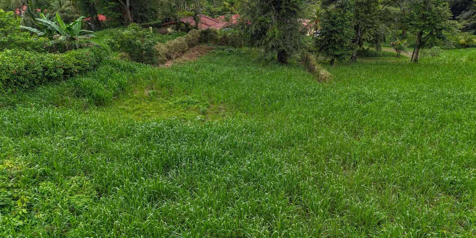 100 (1) Beautiful Sunny Lot in a Secure Gated Community with a Nearby Creek & Jungle-Covered Valley in Ojochal Costa Rica