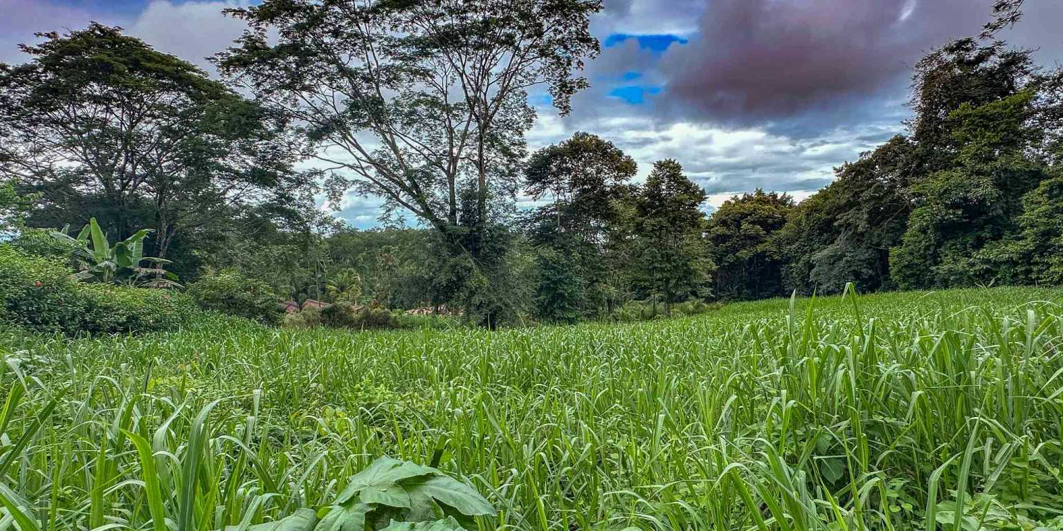 100 (17) Beautiful Sunny Lot in a Secure Gated Community with a Nearby Creek & Jungle-Covered Valley in Ojochal Costa Rica