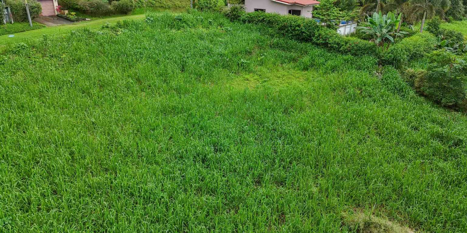 100 (10) Beautiful Sunny Lot in a Secure Gated Community with a Nearby Creek & Jungle-Covered Valley in Ojochal Costa Rica