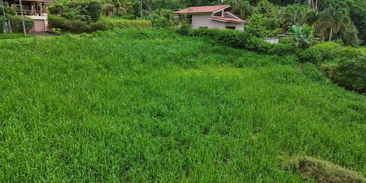100 (11) Beautiful Sunny Lot in a Secure Gated Community with a Nearby Creek & Jungle-Covered Valley in Ojochal Costa Rica