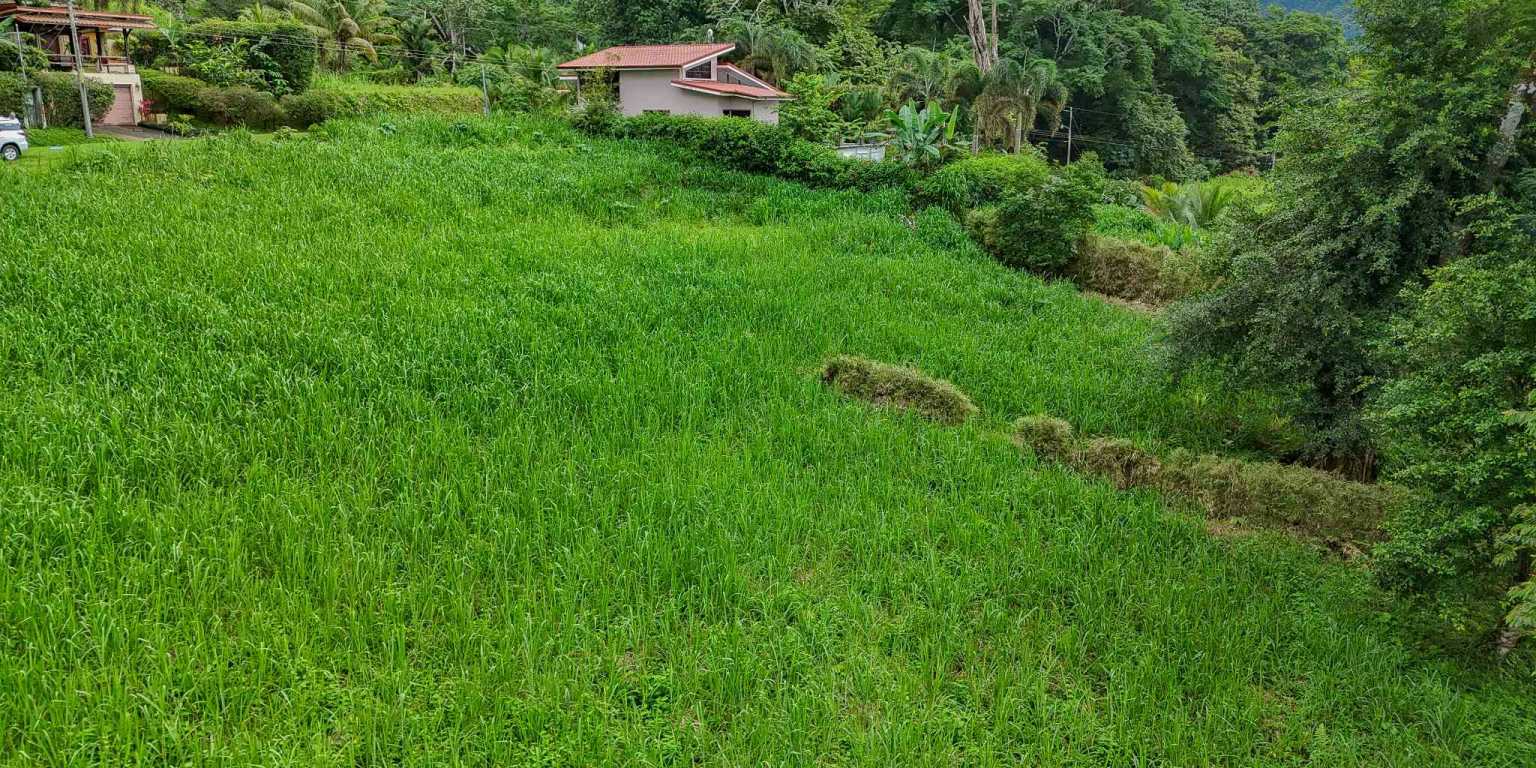 100 (12) Beautiful Sunny Lot in a Secure Gated Community with a Nearby Creek & Jungle-Covered Valley in Ojochal Costa Rica