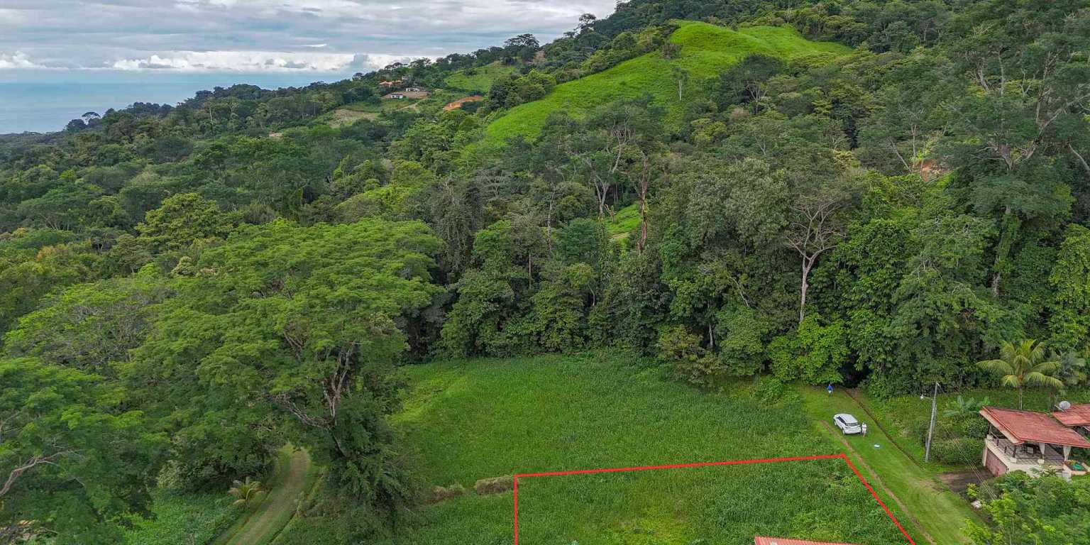 100 (14) Beautiful Sunny Lot in a Secure Gated Community with a Nearby Creek & Jungle-Covered Valley in Ojochal Costa Rica