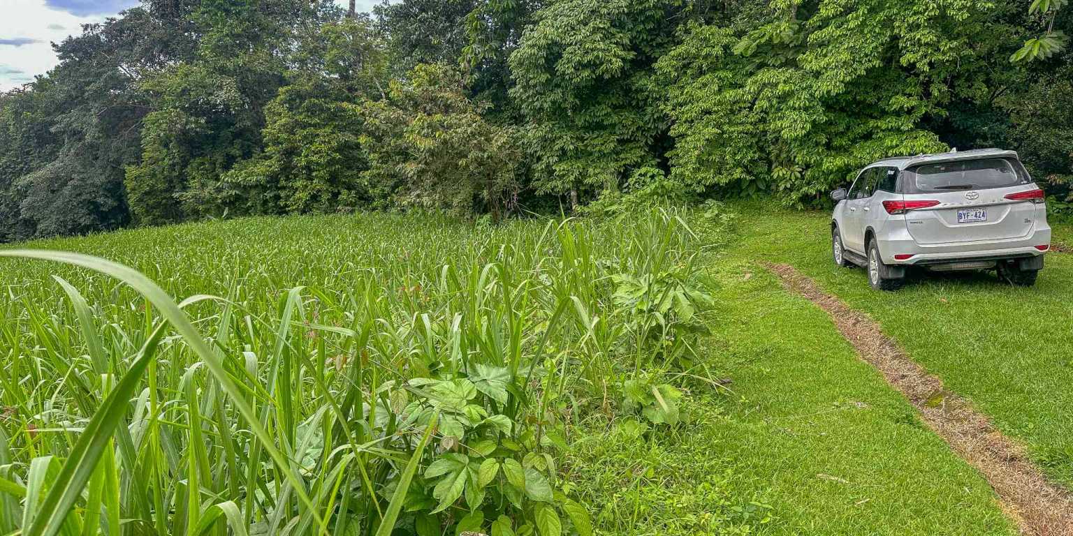 100 (19) Beautiful Sunny Lot in a Secure Gated Community with a Nearby Creek & Jungle-Covered Valley in Ojochal Costa Rica