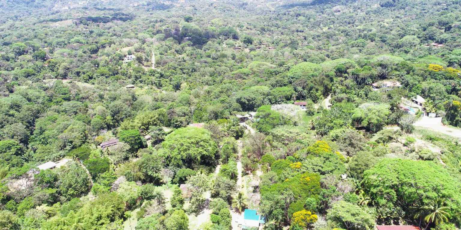 1 (8) Attractive Building Lot with Intriguing Possibilities on Desirable Perezoso Road in Ojochal Costa Rica