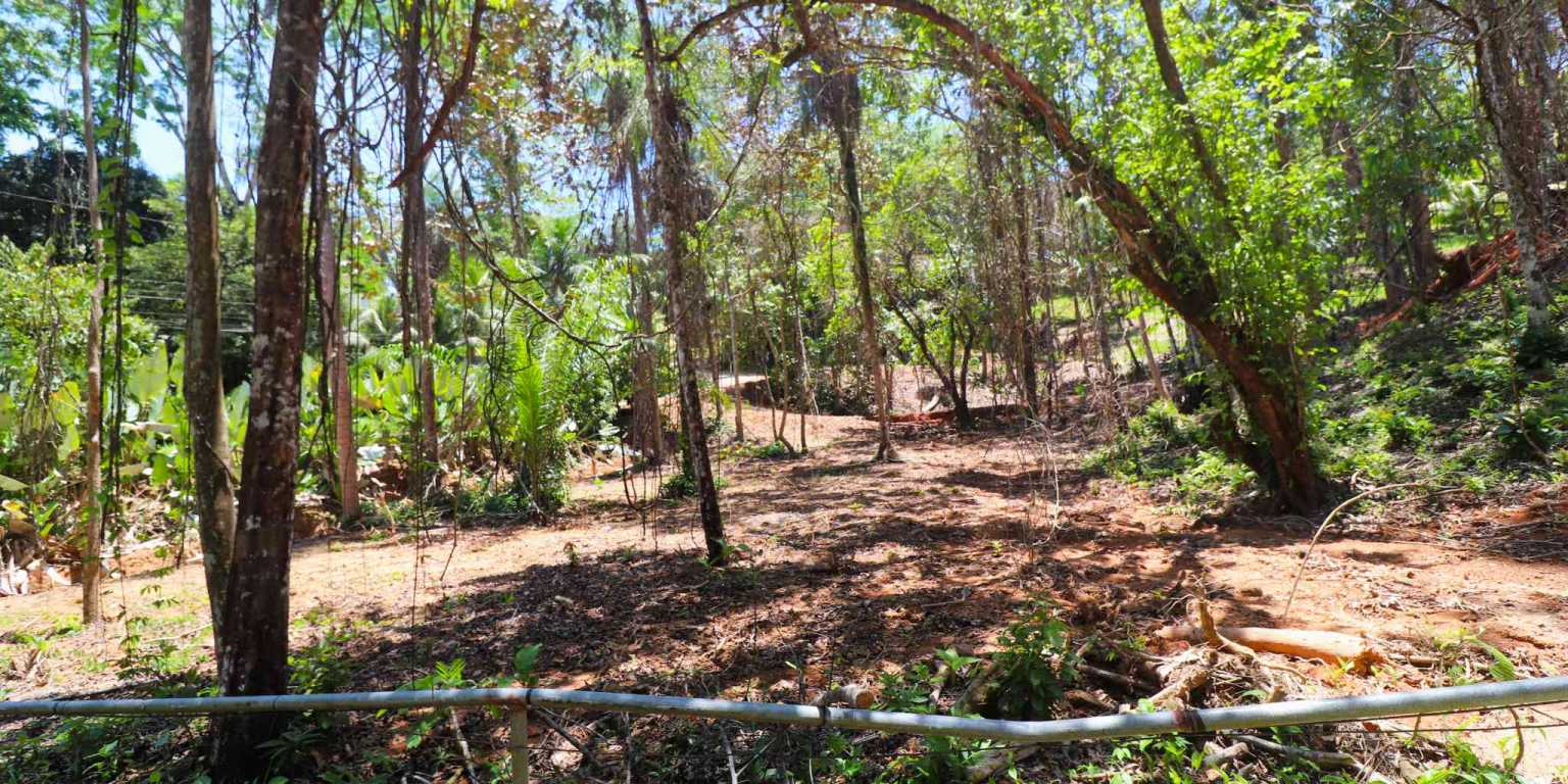 1 (2) Attractive Building Lot with Intriguing Possibilities on Desirable Perezoso Road in Ojochal Costa Rica