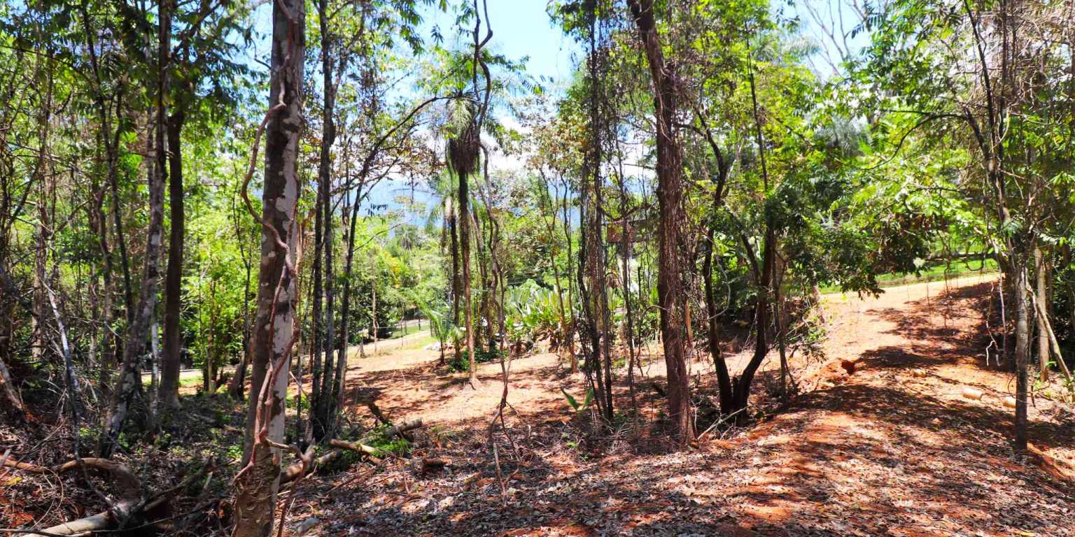 1 (5) Attractive Building Lot with Intriguing Possibilities on Desirable Perezoso Road in Ojochal Costa Rica