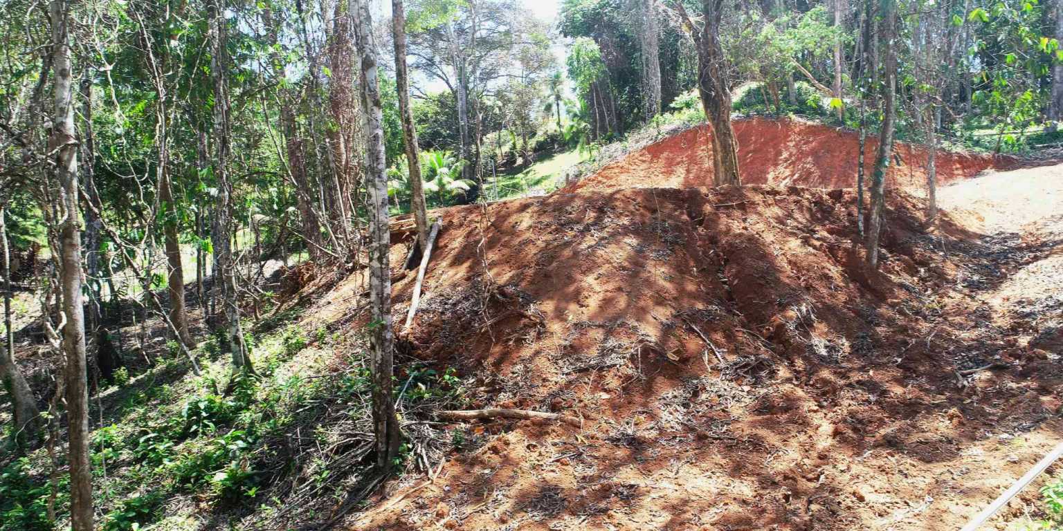 1 (6) Attractive Building Lot with Intriguing Possibilities on Desirable Perezoso Road in Ojochal Costa Rica