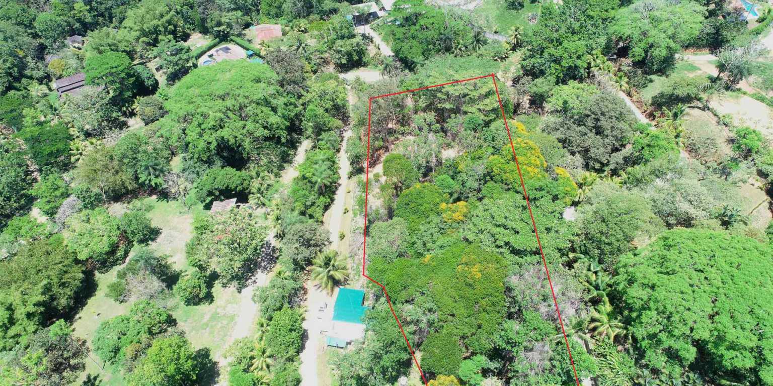 1 (7) 1 Attractive Building Lot with Intriguing Possibilities on Desirable Perezoso Road in Ojochal Costa Rica