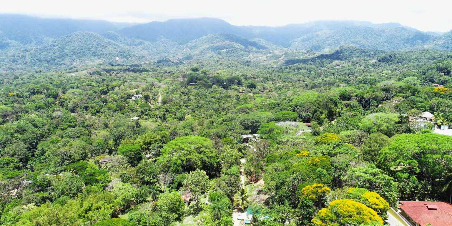 1 (9) Attractive Building Lot with Intriguing Possibilities on Desirable Perezoso Road in Ojochal Costa Rica