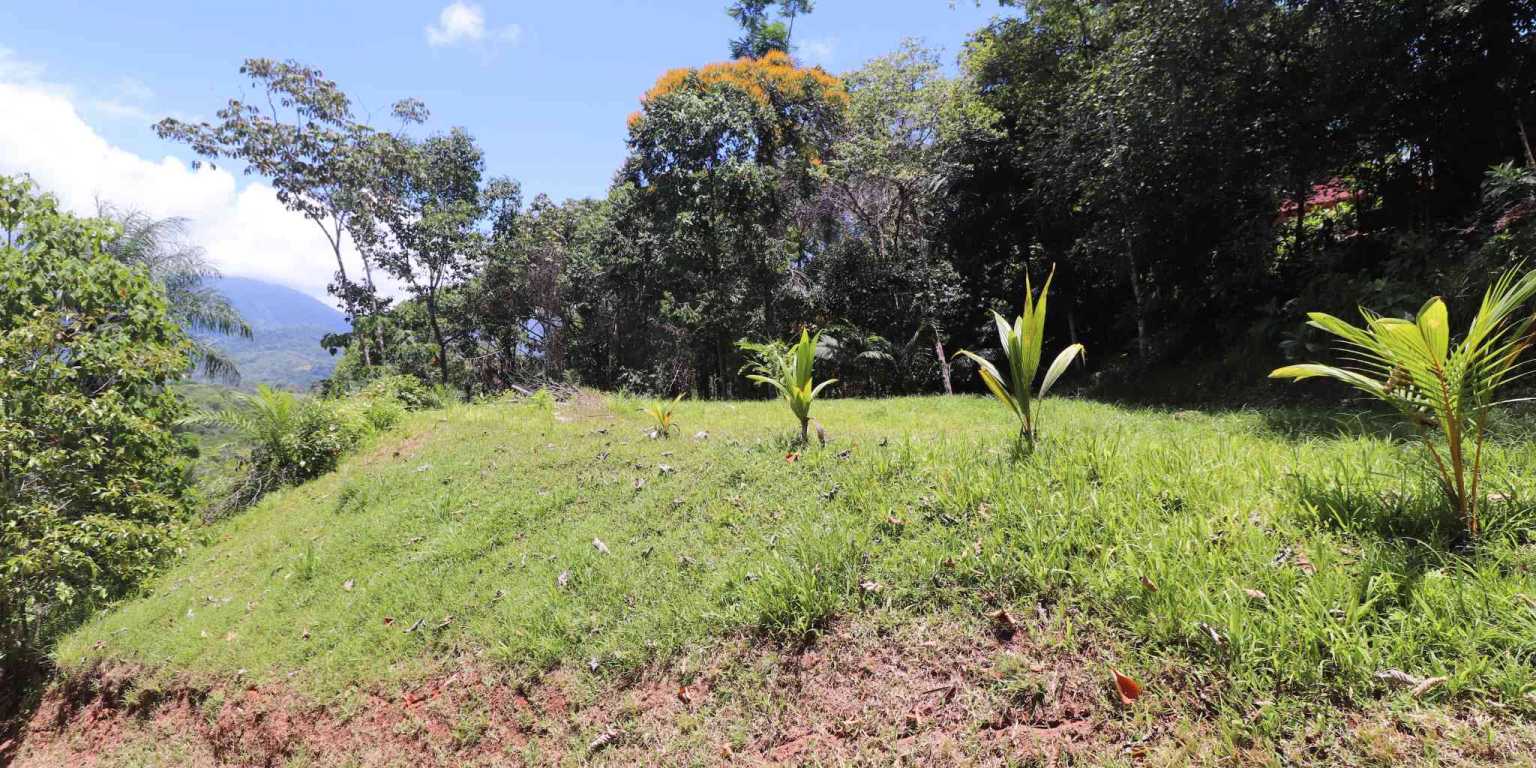 1 (19) Attractive Building Lot with Intriguing Possibilities on Desirable Perezoso Road in Ojochal Costa Rica