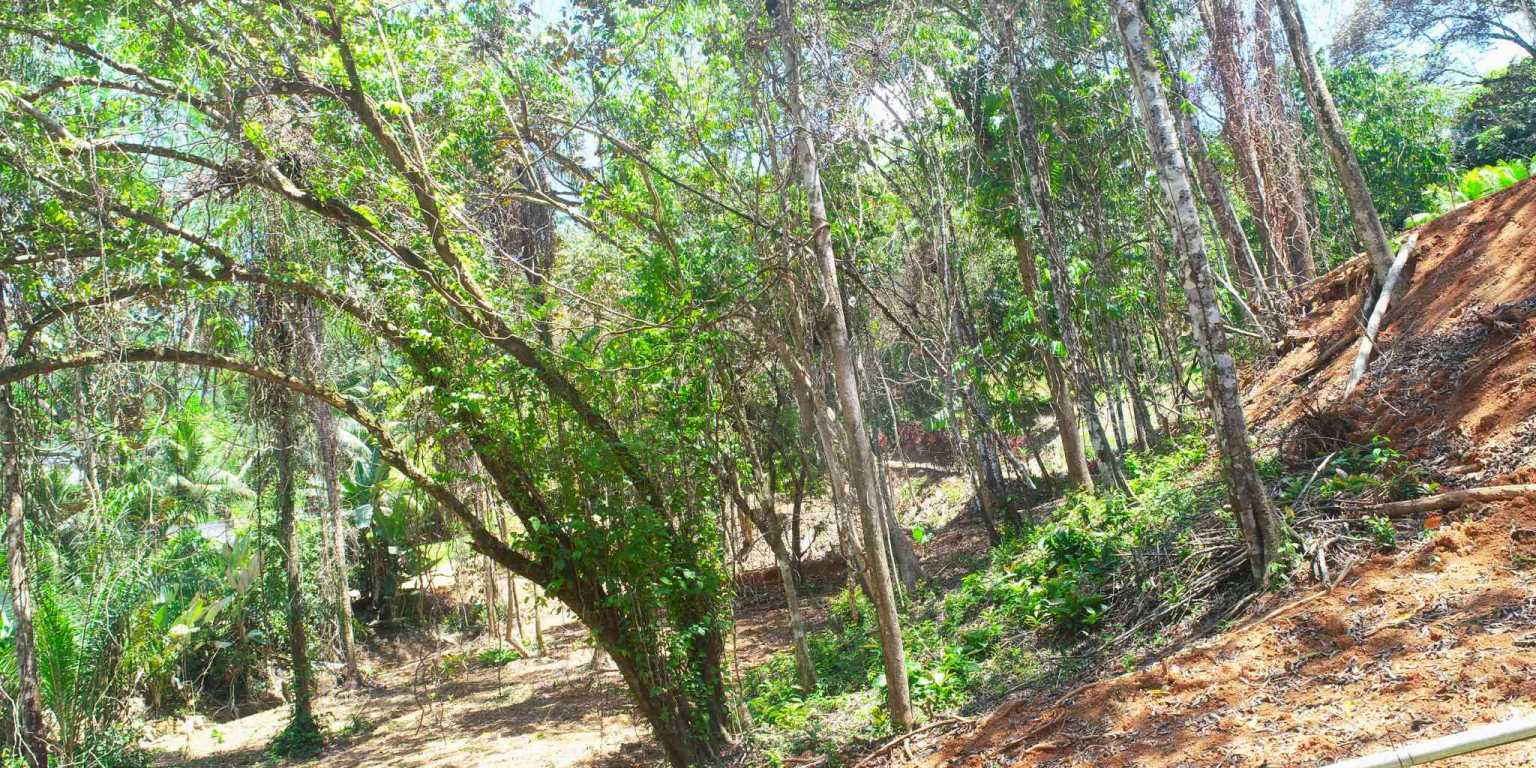 1 (22) Attractive Building Lot with Intriguing Possibilities on Desirable Perezoso Road in Ojochal Costa Rica