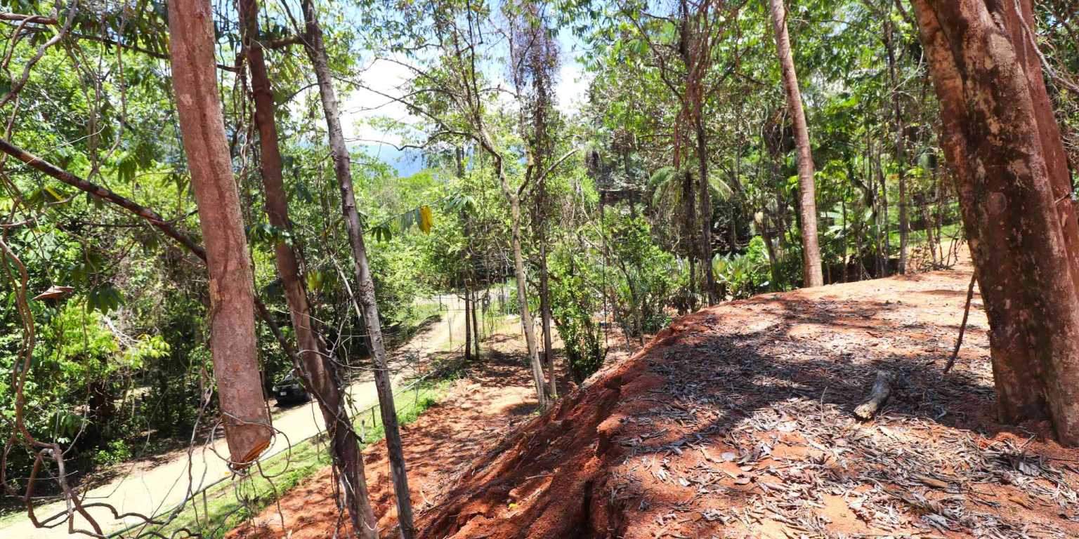 1 (28) Attractive Building Lot with Intriguing Possibilities on Desirable Perezoso Road in Ojochal Costa Rica