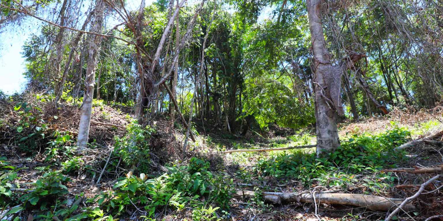 1 (31) Attractive Building Lot with Intriguing Possibilities on Desirable Perezoso Road in Ojochal Costa Rica