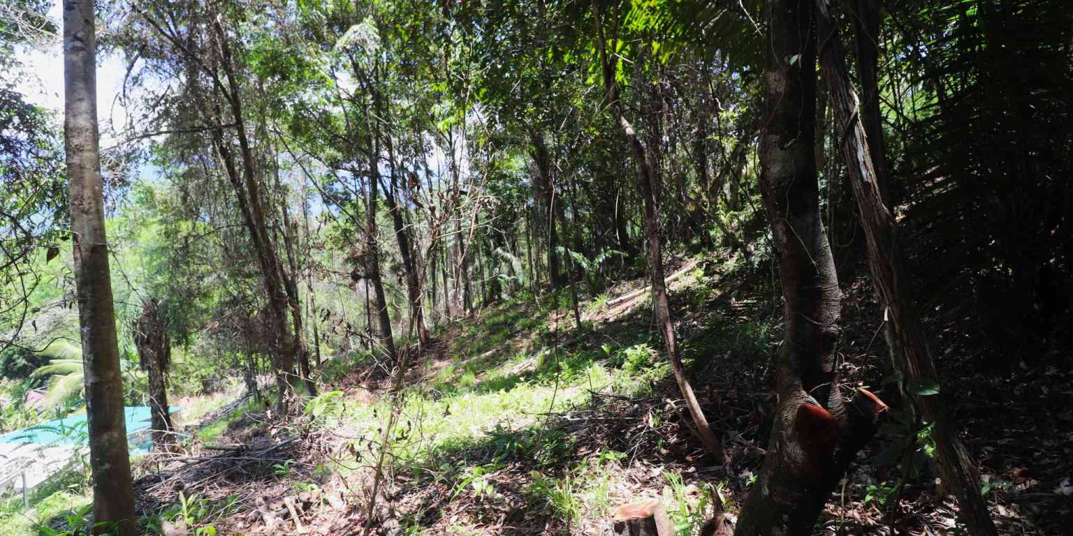 1 (36) Attractive Building Lot with Intriguing Possibilities on Desirable Perezoso Road in Ojochal Costa Rica
