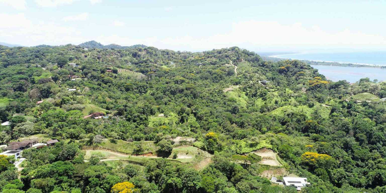 1 (38) Attractive Building Lot with Intriguing Possibilities on Desirable Perezoso Road in Ojochal Costa Rica