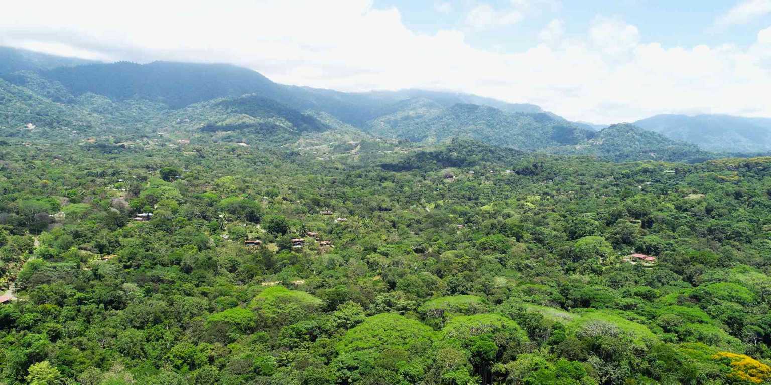1 (42) Attractive Building Lot with Intriguing Possibilities on Desirable Perezoso Road in Ojochal Costa Rica