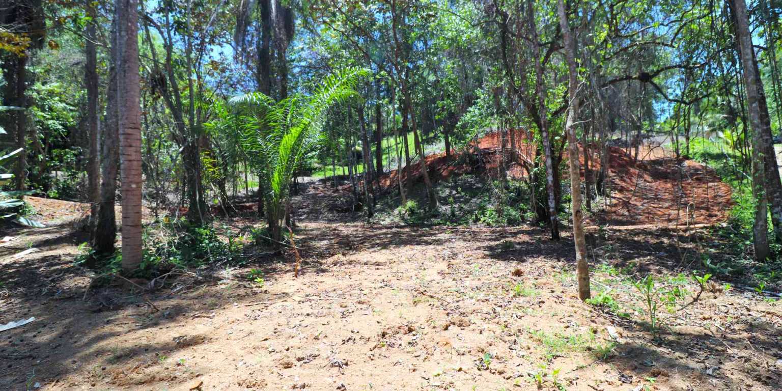 1 (1) Attractive Building Lot with Intriguing Possibilities on Desirable Perezoso Road in Ojochal Costa Rica