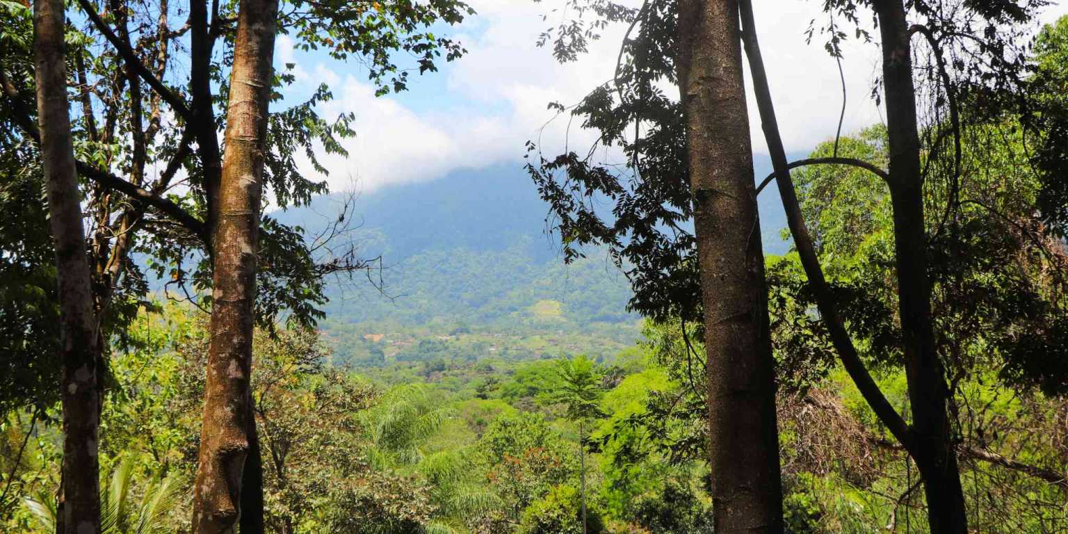 1 (3) Attractive Building Lot with Intriguing Possibilities on Desirable Perezoso Road in Ojochal Costa Rica