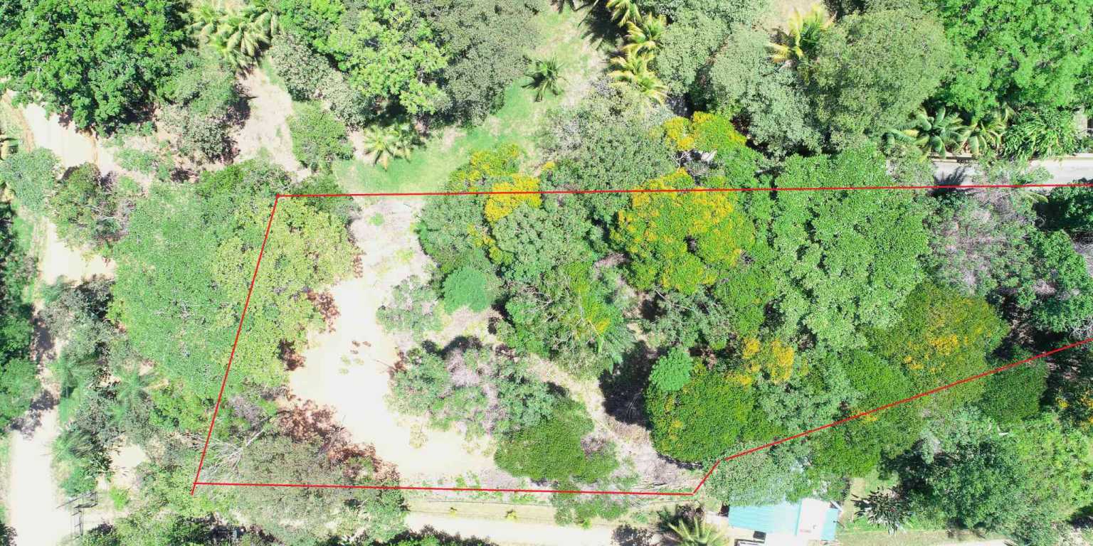 1 (4) 1 Attractive Building Lot with Intriguing Possibilities on Desirable Perezoso Road in Ojochal Costa Rica