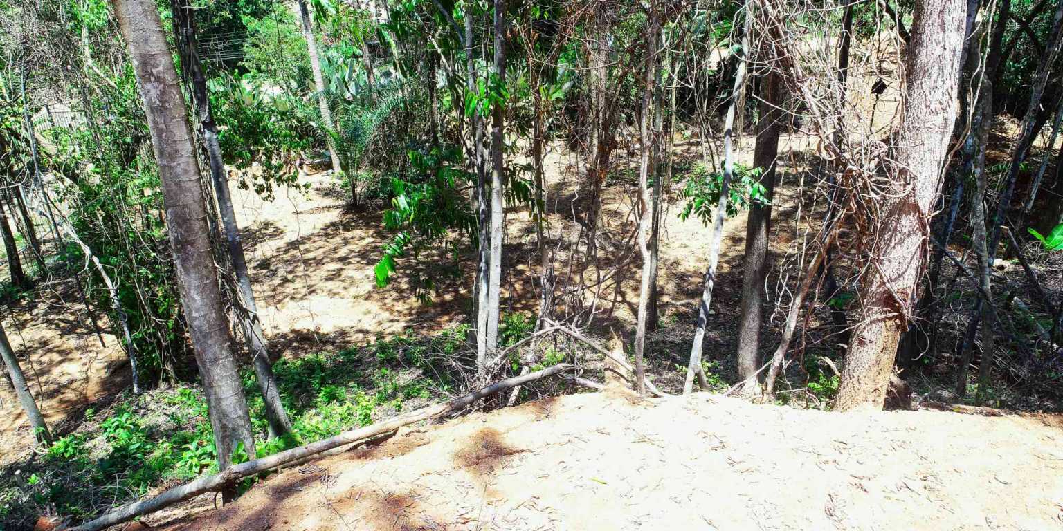 1 (16) Attractive Building Lot with Intriguing Possibilities on Desirable Perezoso Road in Ojochal Costa Rica