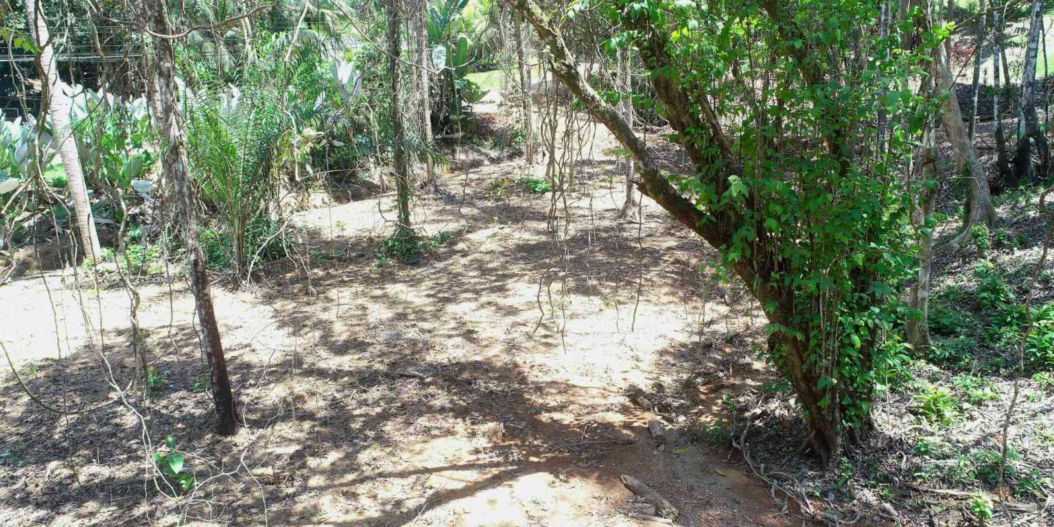 1 (17) Attractive Building Lot with Intriguing Possibilities on Desirable Perezoso Road in Ojochal Costa Rica