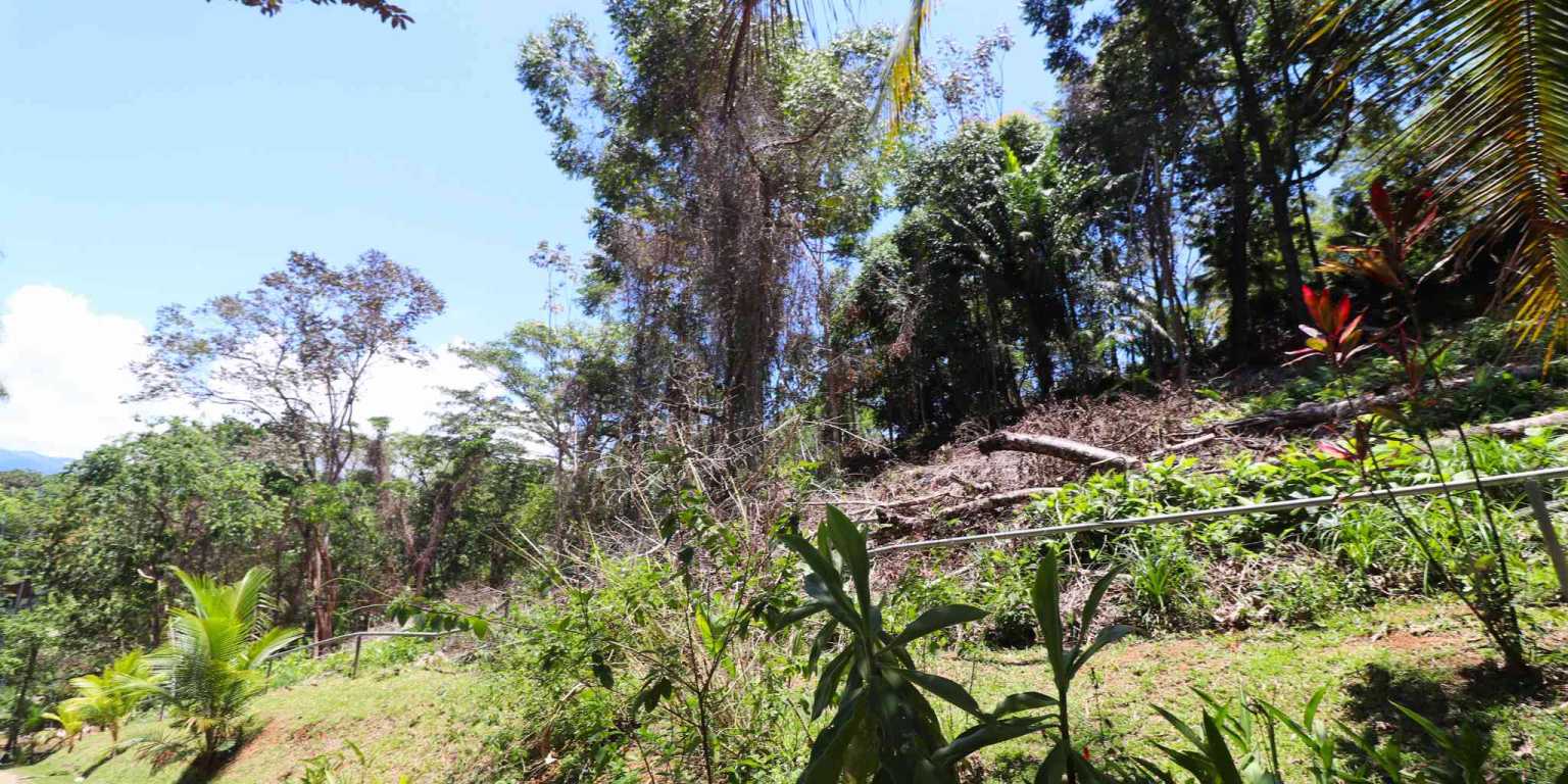 1 (18) Attractive Building Lot with Intriguing Possibilities on Desirable Perezoso Road in Ojochal Costa Rica