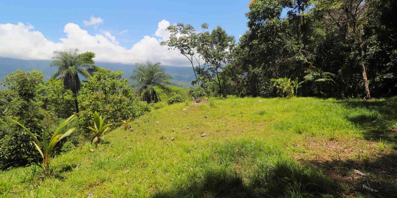 1 (20) Attractive Building Lot with Intriguing Possibilities on Desirable Perezoso Road in Ojochal Costa Rica