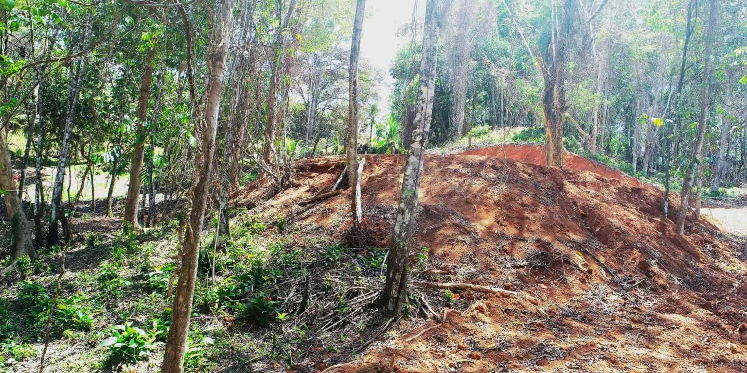 1 (21) Attractive Building Lot with Intriguing Possibilities on Desirable Perezoso Road in Ojochal Costa Rica