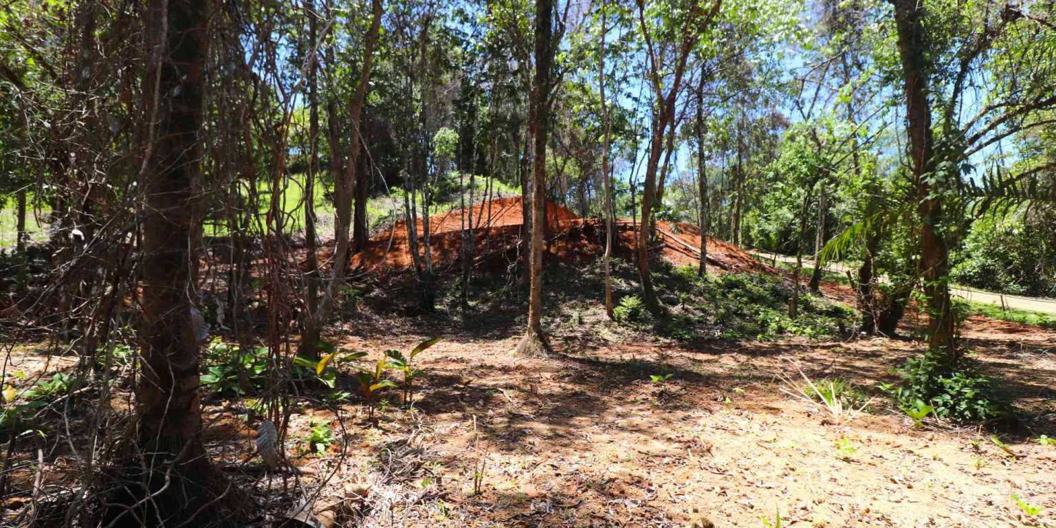 1 (23) Attractive Building Lot with Intriguing Possibilities on Desirable Perezoso Road in Ojochal Costa Rica