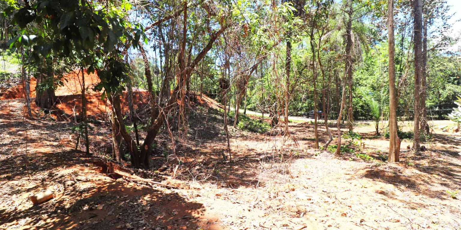 1 (24) Attractive Building Lot with Intriguing Possibilities on Desirable Perezoso Road in Ojochal Costa Rica