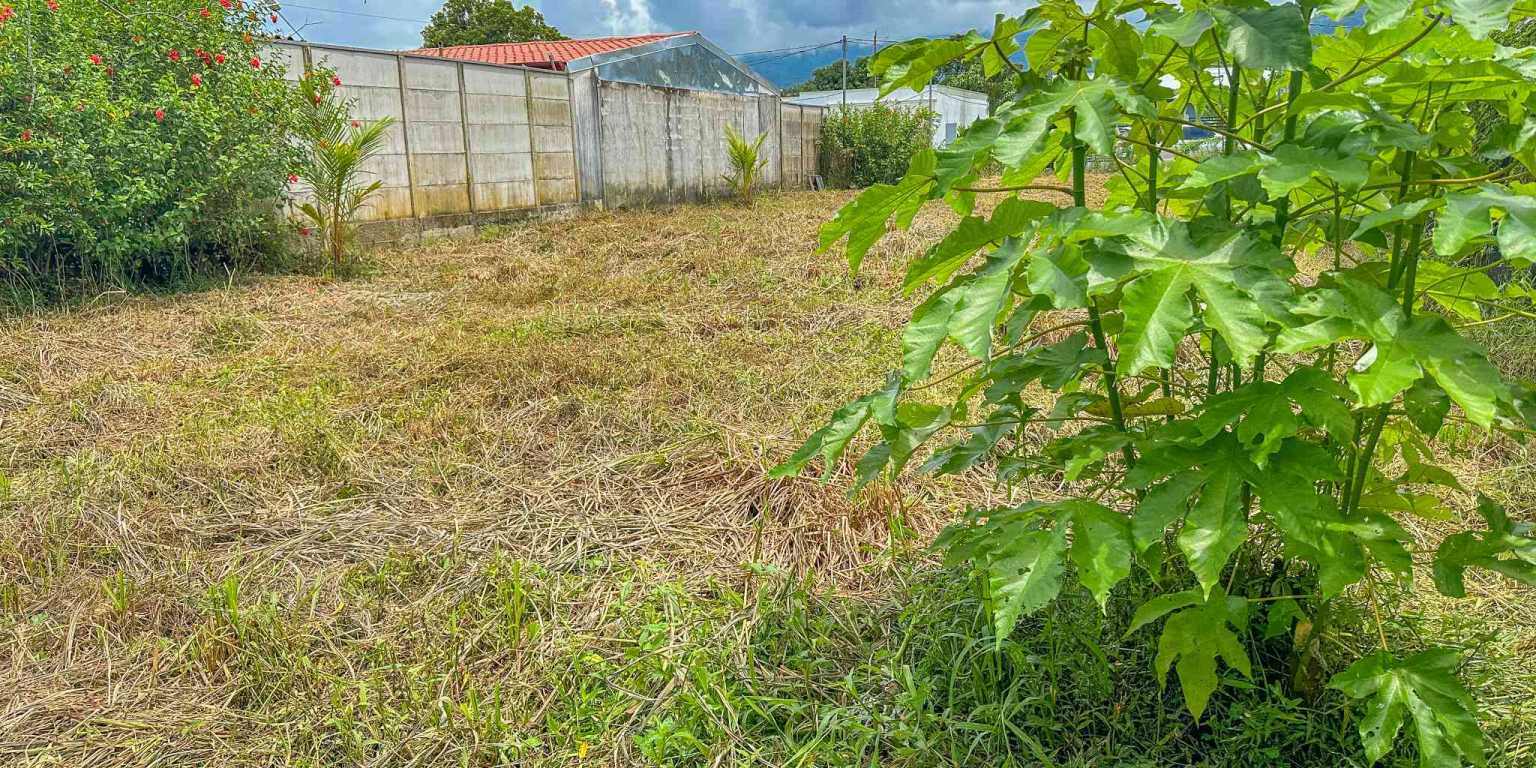 Easy-Access Building Lot Bordering the Marino Ballena National Park & Easy Walk to Cafes, Restaurants & Other Amenities in Bahia near Uvita Costa Rica