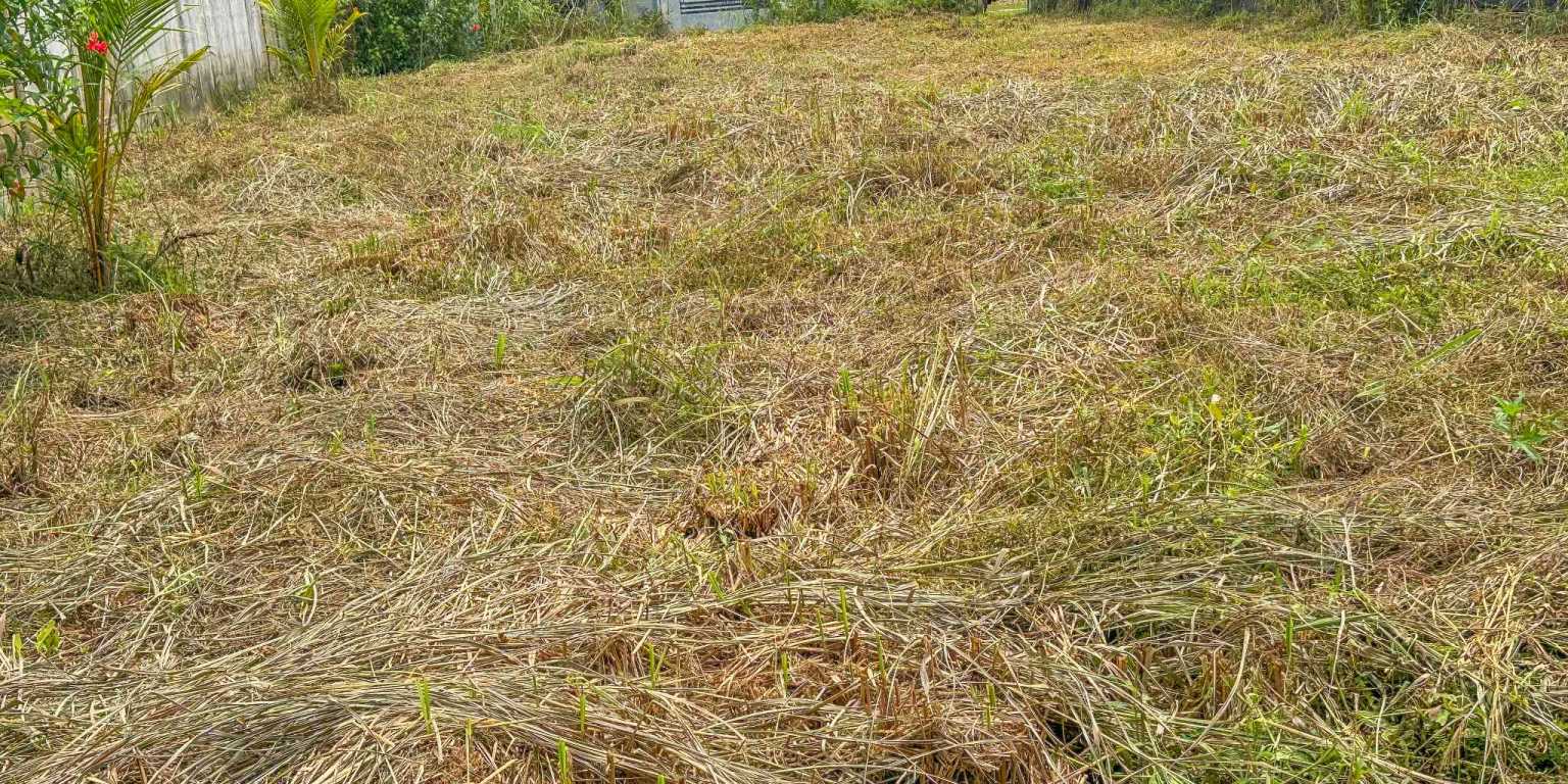 Easy-Access Building Lot Bordering the Marino Ballena National Park & Easy Walk to Cafes, Restaurants & Other Amenities in Bahia near Uvita Costa Rica