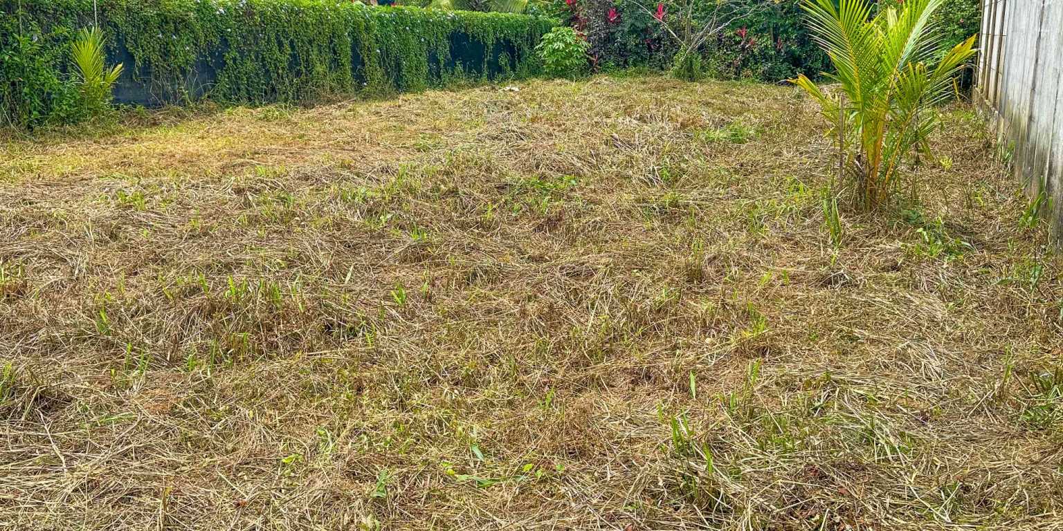 Easy-Access Building Lot Bordering the Marino Ballena National Park & Easy Walk to Cafes, Restaurants & Other Amenities in Bahia near Uvita Costa Rica